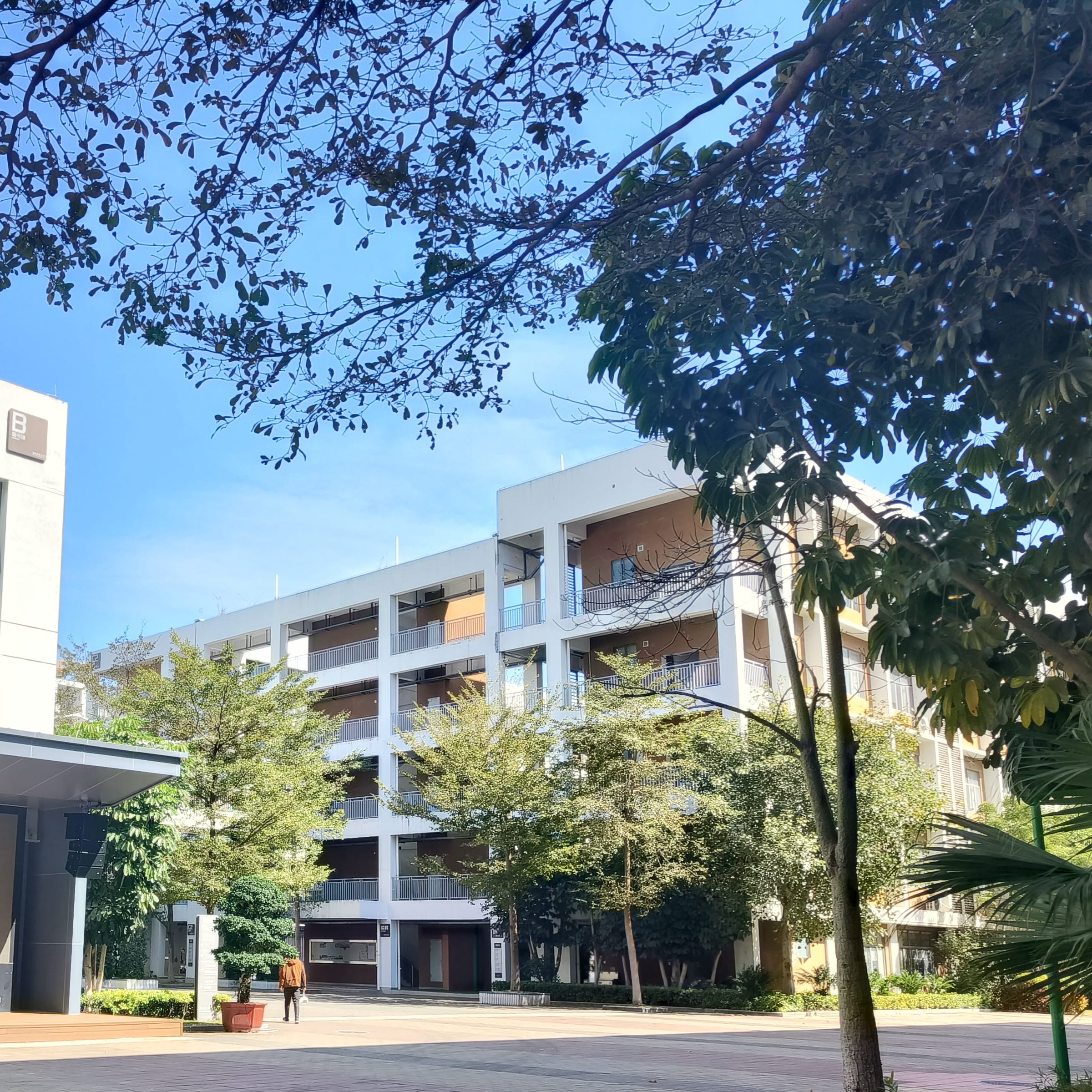 Shenzhen High School of Science